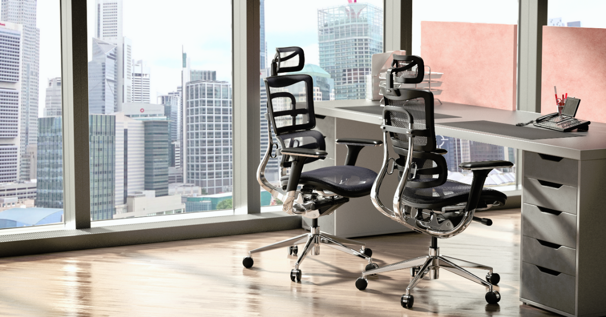 Giveaway Ergomeister FAEZ8ERG Ergonomic Office Chair, Approved by Orthopaedics and